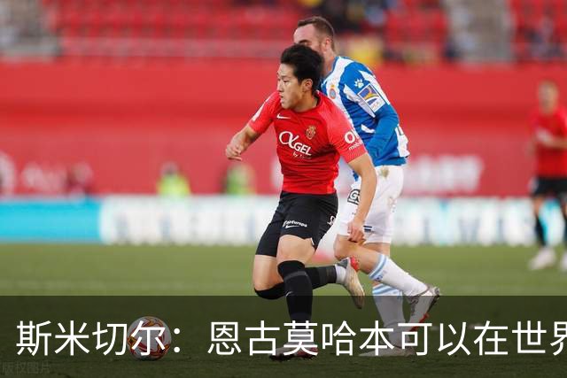 斯米切尔：恩古莫哈本可以在世界杯改变局势，但他能参加下一届